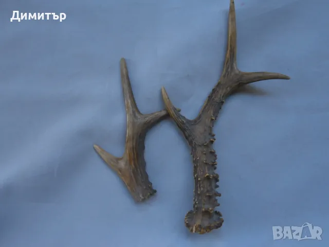 Рог и половина за дръжки