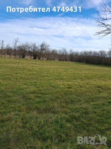 Парцел, обл. Варна , снимка 3 - Парцели - 53636049