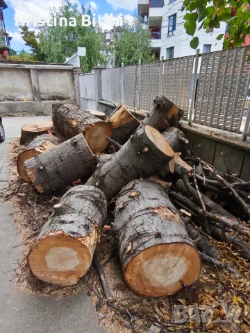 Продавам изгодно иглолистен дървен материал, снимка 2 - Дърва за огрев - 55954414
