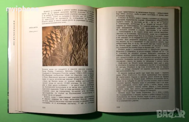 Стара Книга Атлас по Ботаника/Сл.Петров,Е.Паламарев, снимка 6 - Специализирана литература - 49204492