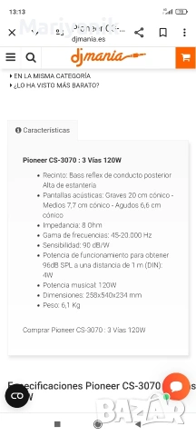 Pioneer CS - 3070, снимка 5 - Тонколони - 53725712