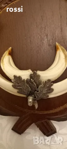 Красив немски трофей диво прасе. Не използван. Резбована трофейна поставка. Документ., снимка 6 - Други ценни предмети - 44483733