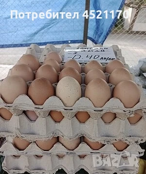 Домашни кокоши яйца, снимка 1