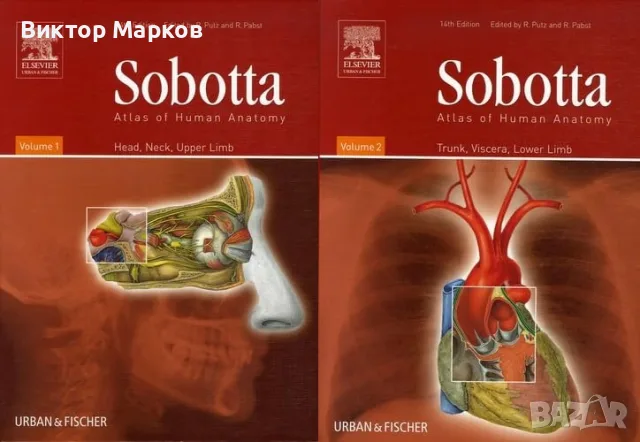 Sobotta - Atlas of Human Anatomy