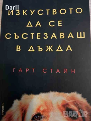 Изкуството да се състезаваш в дъжда- Гарт Стайн, снимка 1