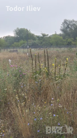 Продавасе парцел в с.Трудовец, снимка 1