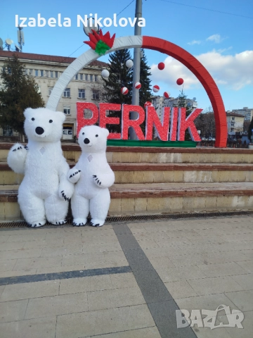 Изненада с голямата бяла мечка, снимка 7 - Други услуги - 48731258