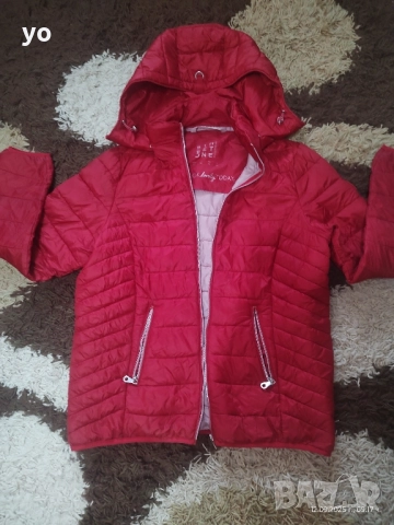 Червено яке пролет есен 