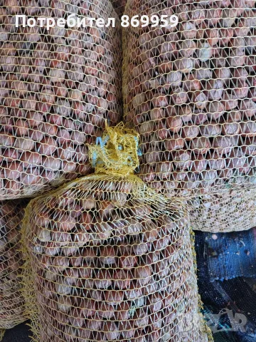 Продавам лешници , снимка 5 - Домашни продукти - 56333475