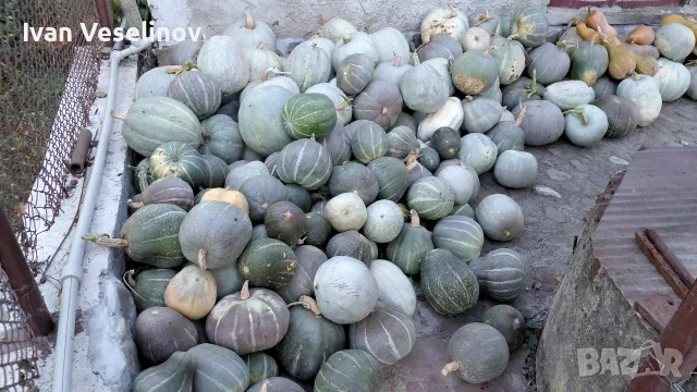 Продавам Бели тикви