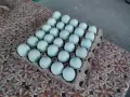 Сини яйца от бял Легбар , снимка 1