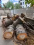 Продавам изгодно иглолистен дървен материал, снимка 2