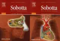 Sobotta - Atlas of Human Anatomy, снимка 1