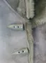 Дамско кожухче, снимка 3