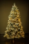 Коледна елха с вградени лампички , снимка 2