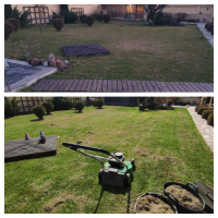 Озеленяване почистване  поддръжка на дворове и градини, снимка 9 - Други почистващи услуги - 44399933