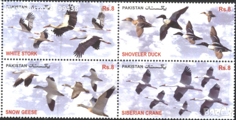 Чисти марки Фауна Птици 2012 от Пакистан, снимка 1