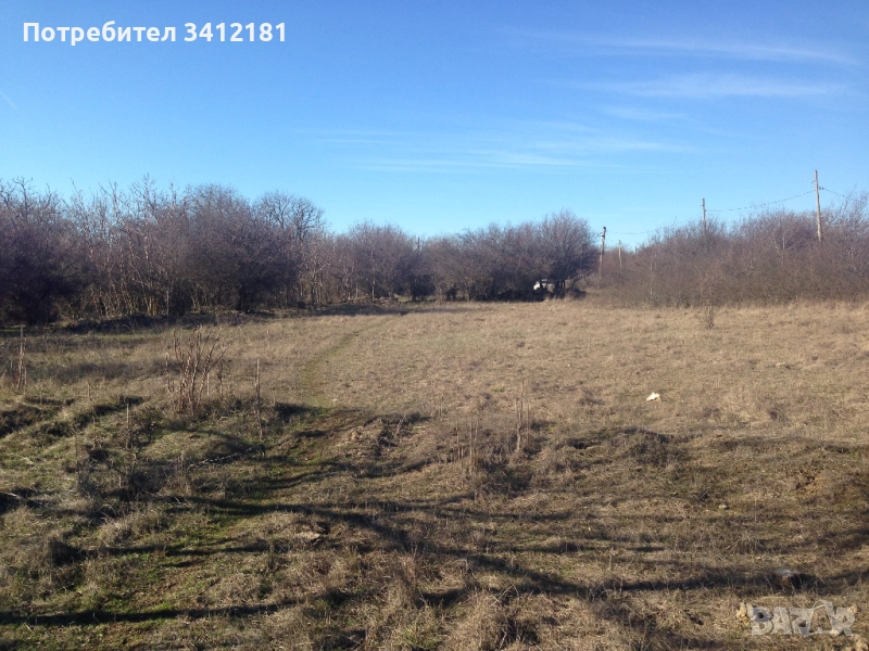 Голям парцел за застрояване в село Бежаново област Добрич собственик , снимка 1