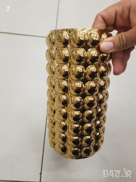 Саксии, снимка 1