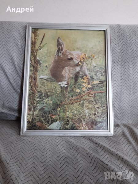 Стара снимка #17, снимка 1