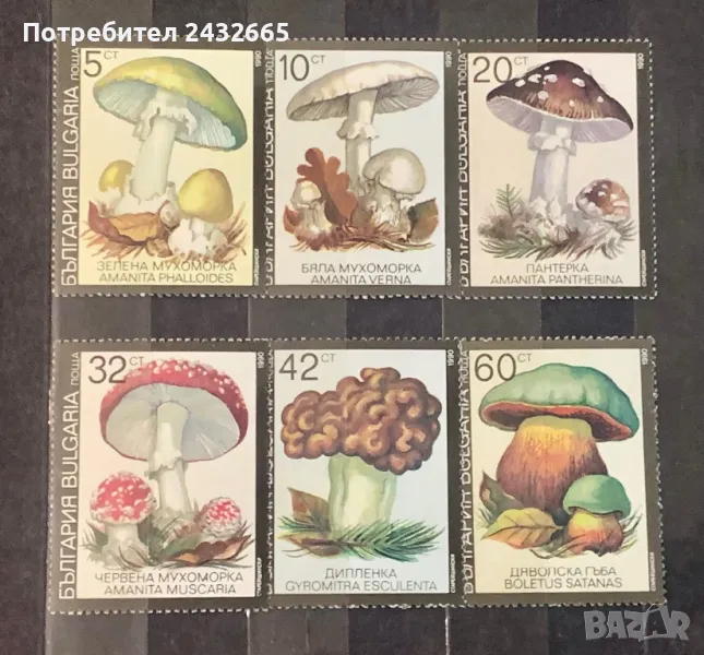 2414. България 1990 /91 = БК 3901 /06: “ Флора. Отровни гъби. “, **, MNH, снимка 1