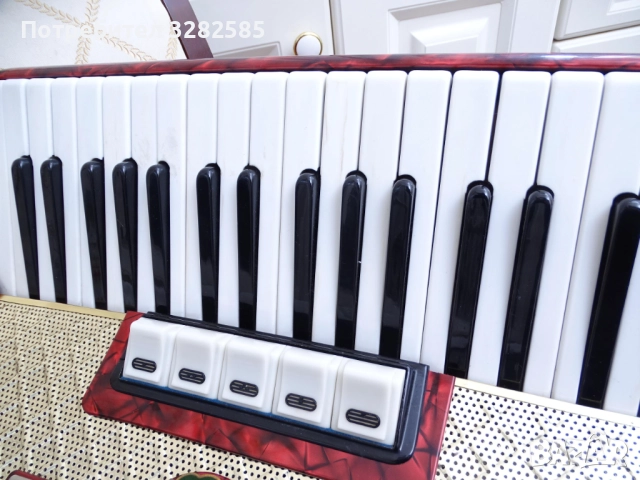 Акордеон Велтмайстер 96 баса, снимка 7 - Акордеони - 52119928