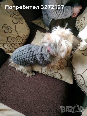 Toпъл пуловер за куче - високо качество, снимка 13 - За кучета - 41015299