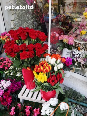 Ваза за цветя в атрактивен малиново червен цвят (сет от 6 бр) , снимка 3 - Саксии и кашпи - 39836020