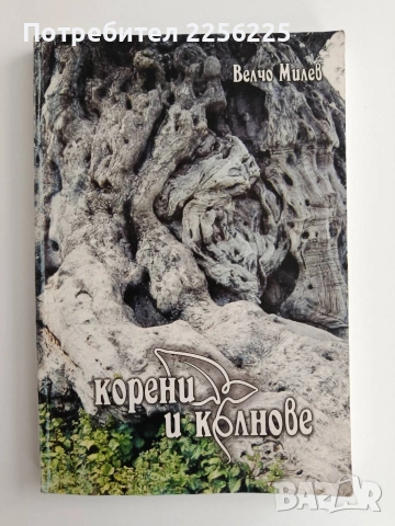 Корени и кълнове