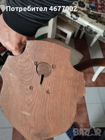  Прекрасен трофей, снимка 4 - Антикварни и старинни предмети - 52918668