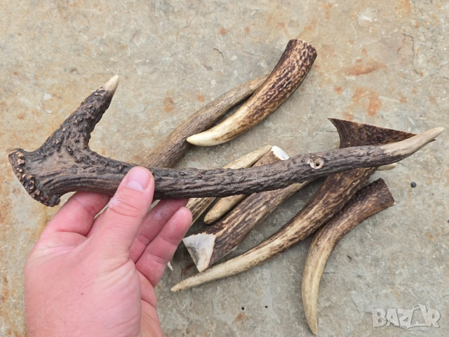 Лот от 8бр Еленски рокца , снимка 6 - Други - 52033288