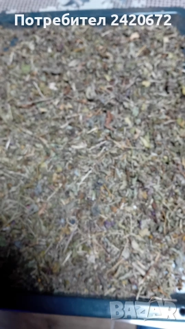 био  червен  риган