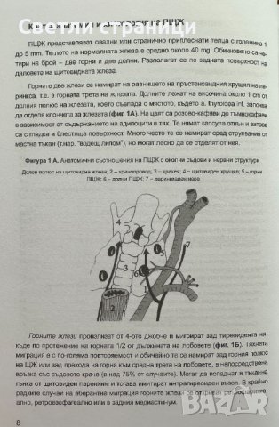 паращитовидни жлези, витамин D и калциево-фосфорна обмяна, снимка 5 - Специализирана литература - 41530979