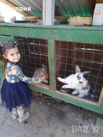 Рокличка за 3-4г., снимка 5 - Детски рокли и поли - 35941959