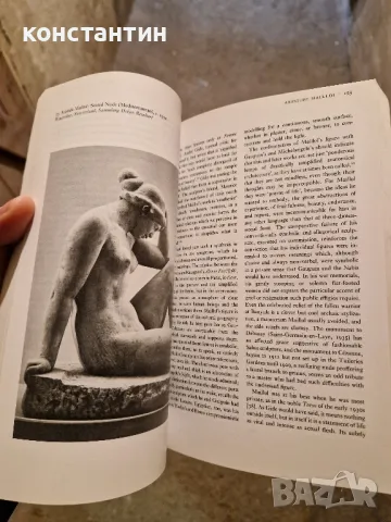 арт книга живопис и скулптори, снимка 3 - Художествена литература - 49787717