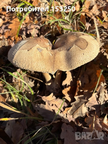 KTM EXC 450, снимка 8 - Мотоциклети и мототехника - 53329098