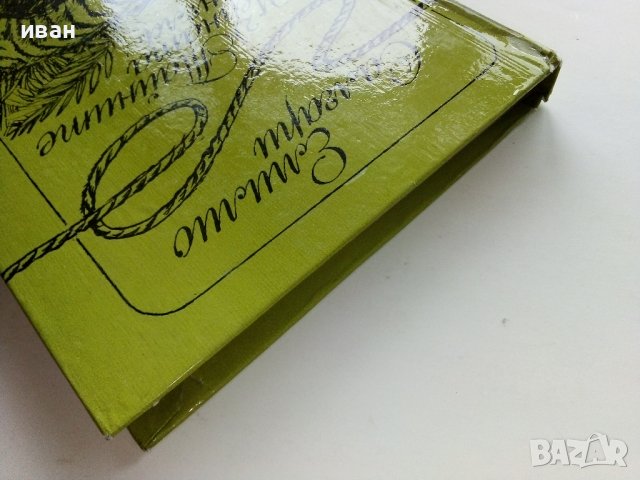 Тайните на Черната джунгла - Е.Салгари - 1983г. , снимка 9 - Художествена литература - 39725167