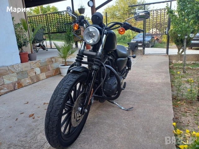 Harley Davidson 883, снимка 4 - Мотоциклети и мототехника - 52417589