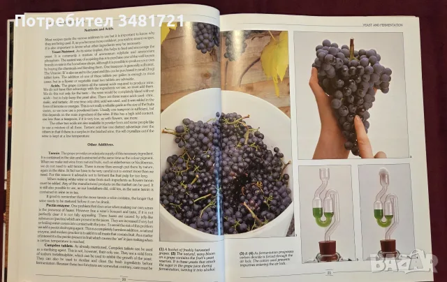 Step by Step Homemade Wine, снимка 4 - Кулинария - 55817394