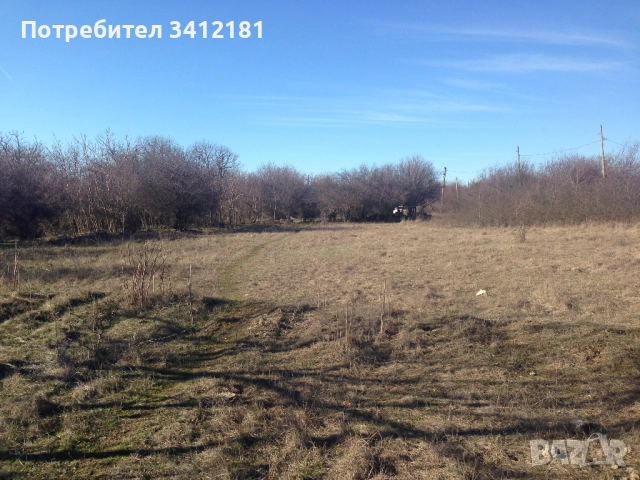 Голям парцел за застрояване в село Бежаново област Добрич собственик 