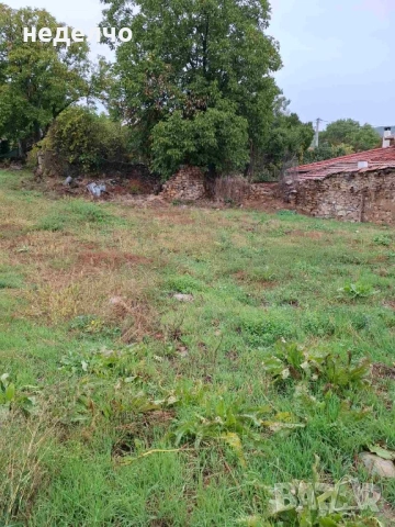 Парцел с. Борилово, снимка 5 - Парцели - 33773661