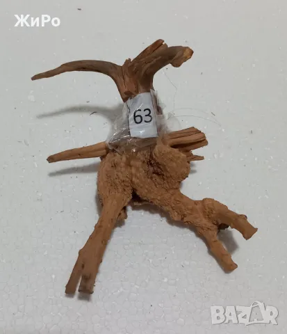 Корен от Азалия /декорация/ 63