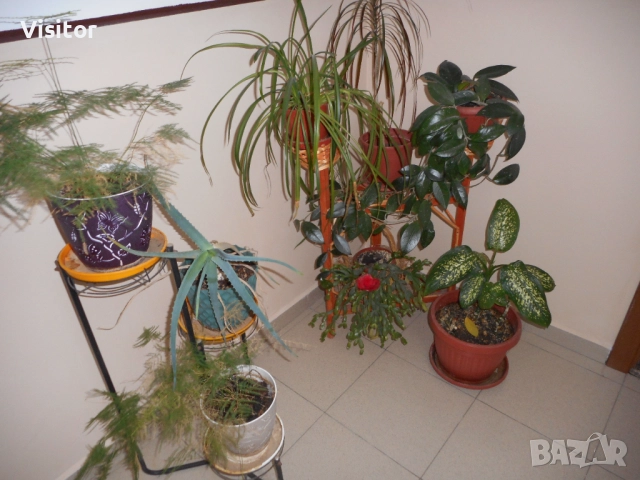 Nikon Coolpix S3600   20.1 МРх, снимка 17 - Фотоапарати - 52836092