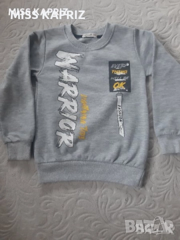 Блузи за момче 5г.( 110см), снимка 9 - Детски анцузи и суичери - 41372050