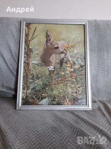 Стара снимка #17