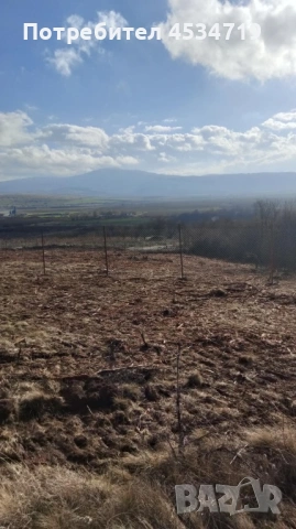 Продавам Парцел в село Долна Диканя област (Перник), снимка 3 - Парцели - 51042078