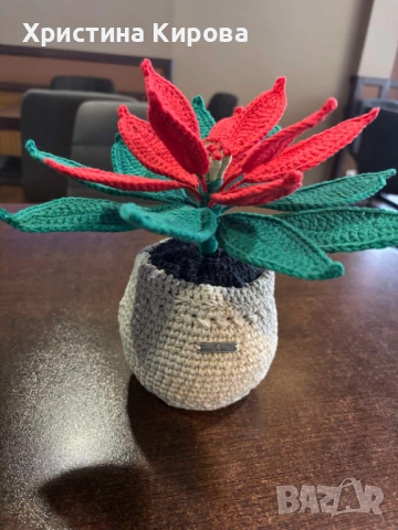 Коледна звезда, снимка 2 - Декорация за дома - 52466822