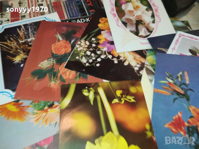 36 КАРТИЧКИ С ЦВЕТЯ ОТ СОЦА 2508251506, снимка 8 - Филателия - 51483855