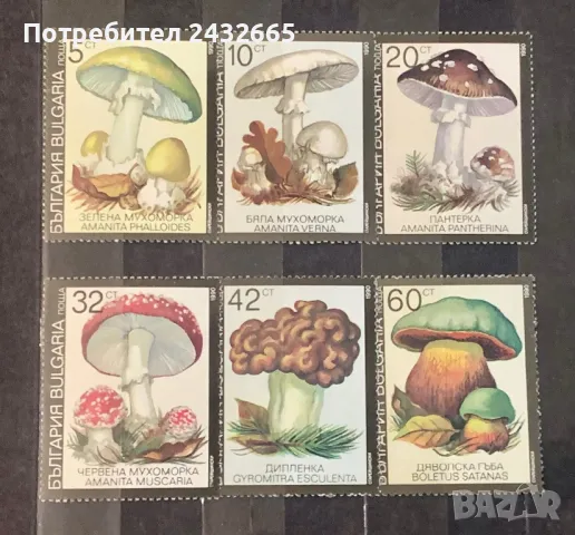 2414. България 1990 /91 = БК 3901 /06: “ Флора. Отровни гъби. “, **, MNH, снимка 1
