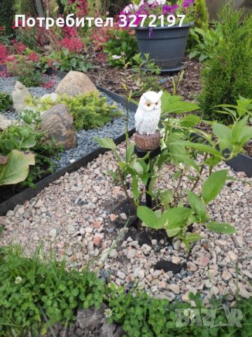 Соларна лампа, LED, Бухал , снимка 9 - Соларни лампи - 41626291